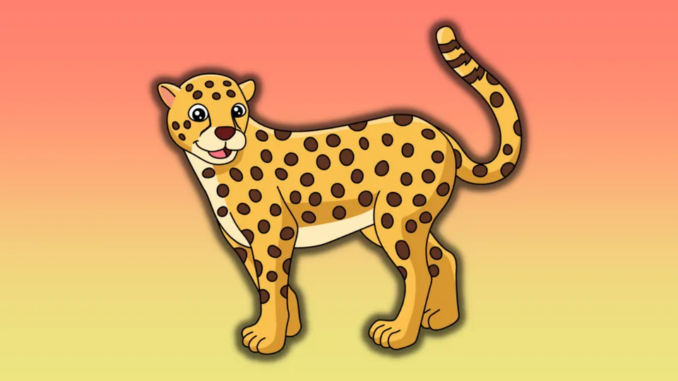 Cheetahs