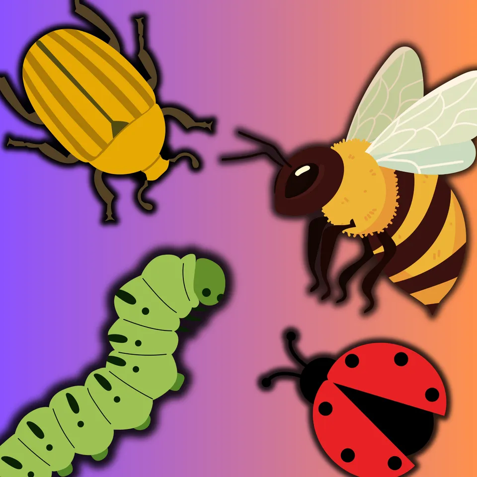 Insects