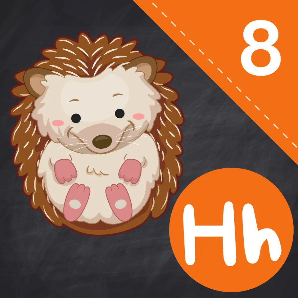 Kindergarten Prep 8