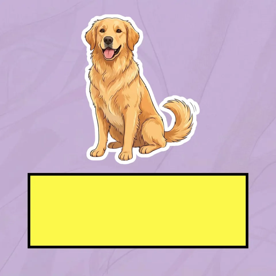 Perimeter Story Problems