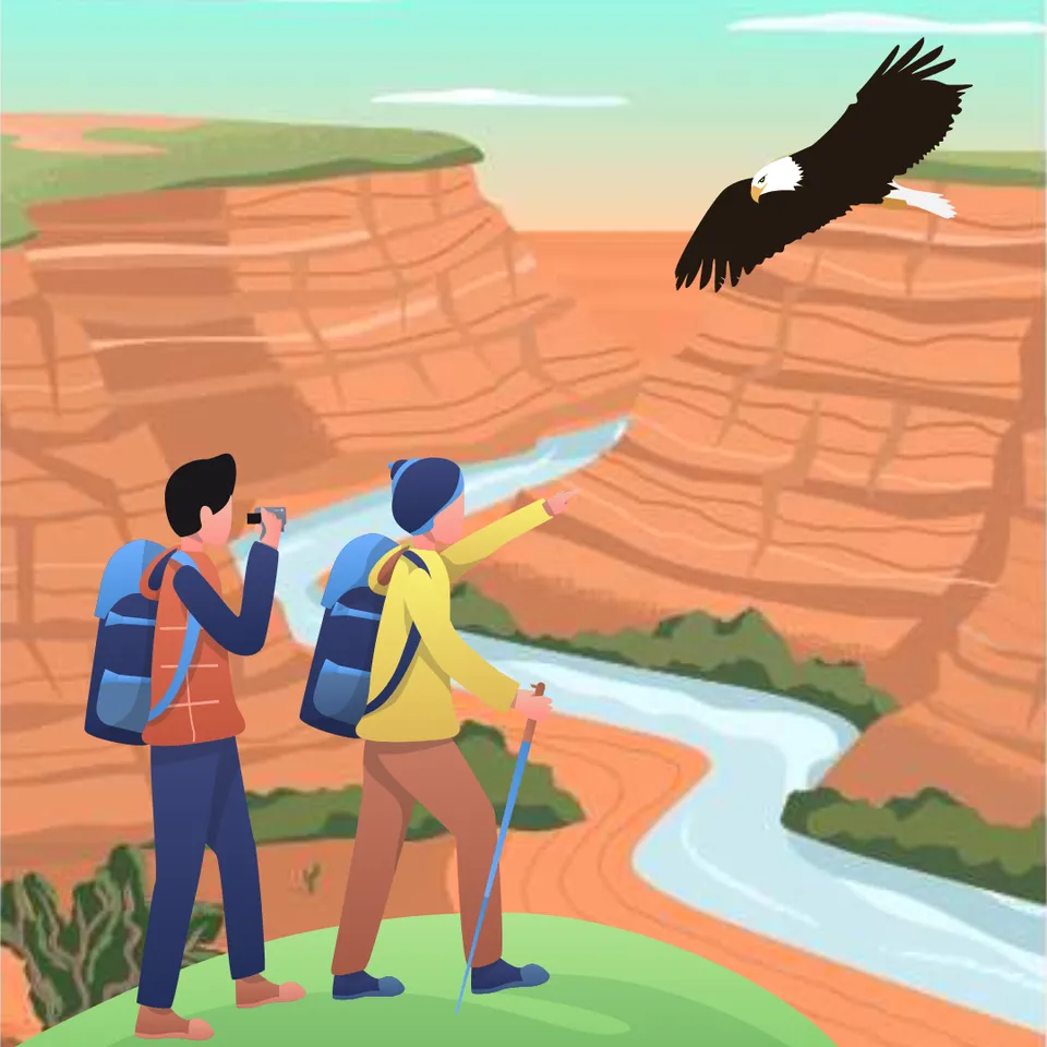 A Trip to the Grand Canyon!