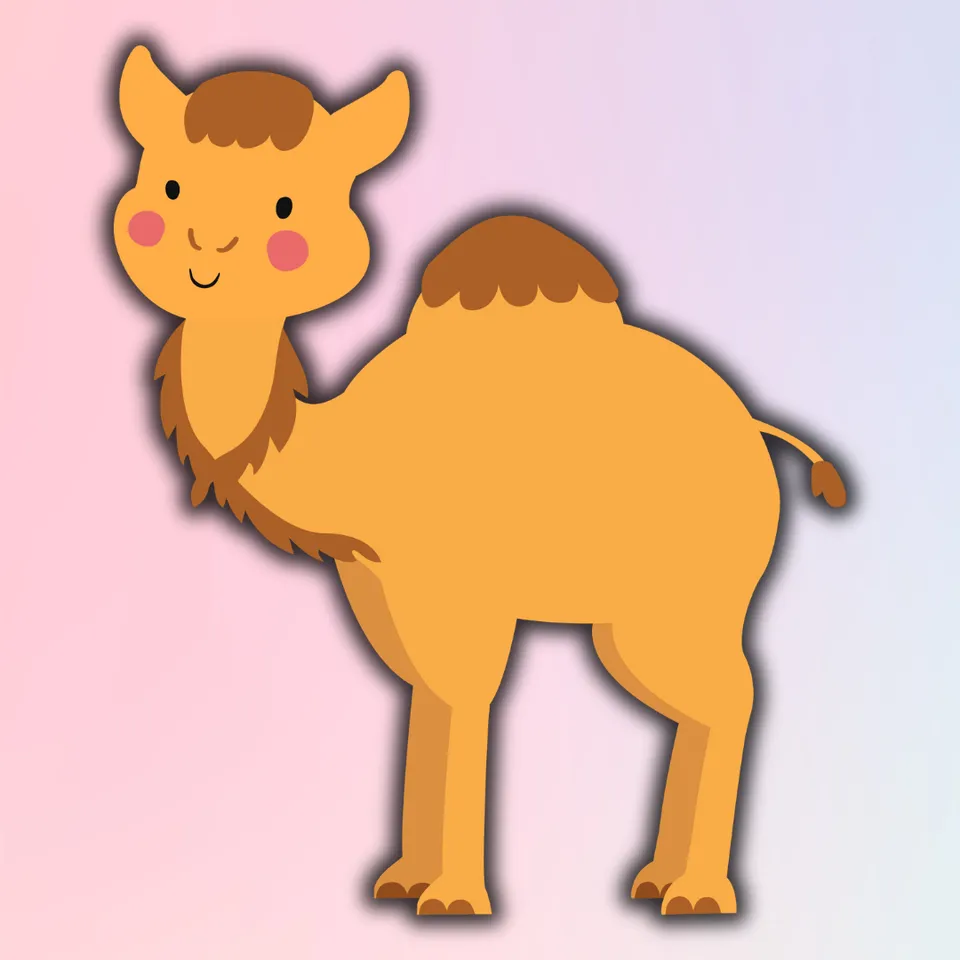 Camels