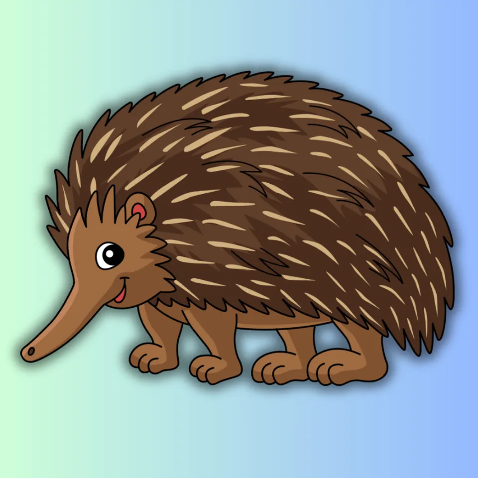 Echidnas