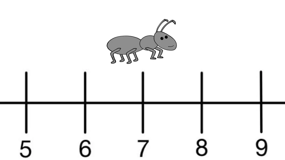 Starting with Number Lines