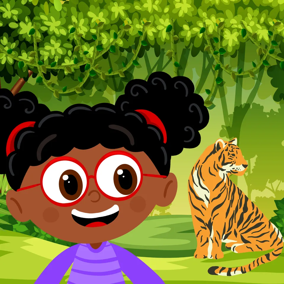 Rainforest Habitats
