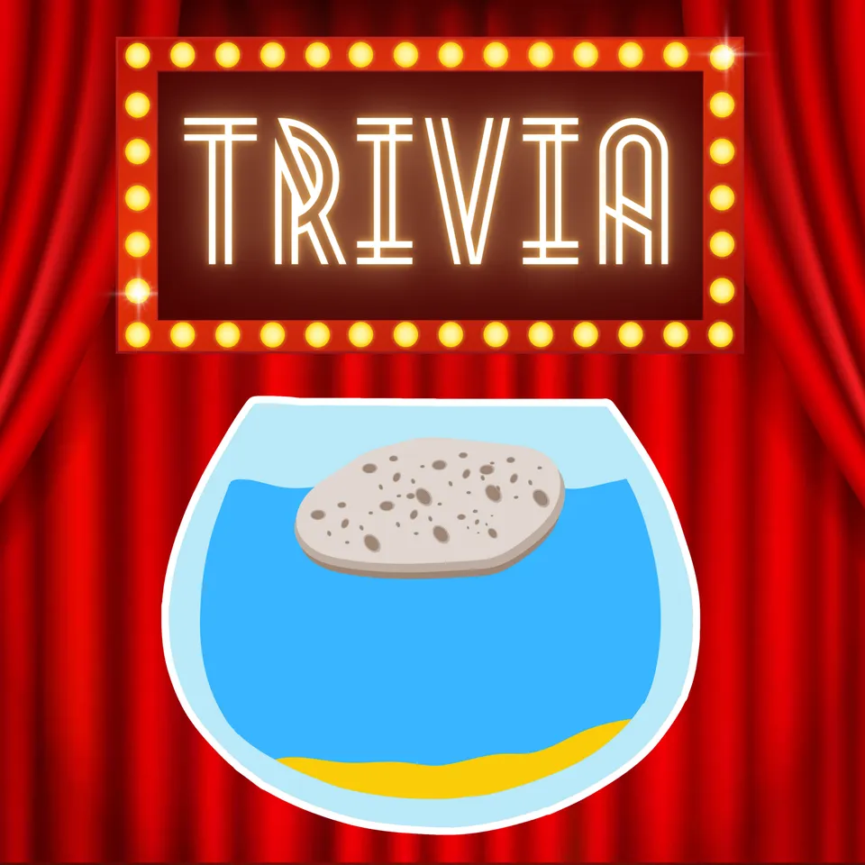 Week 21 Trivia