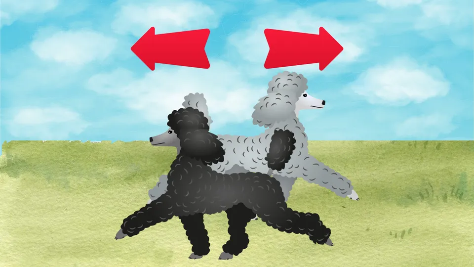 Left and Right