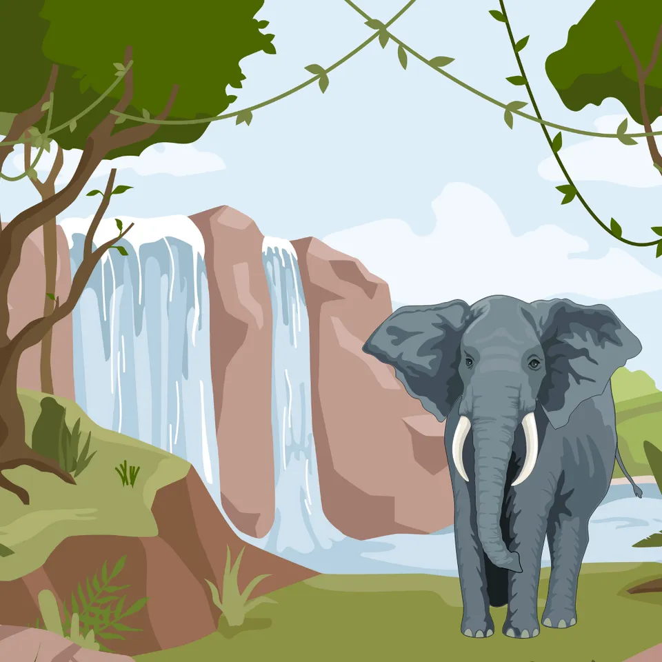 A Trip to Victoria Falls!