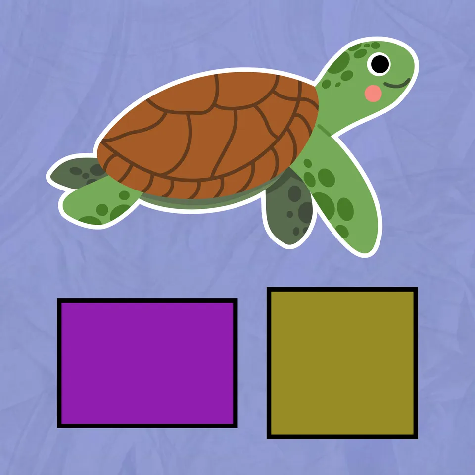 Same Area, Different Perimeter