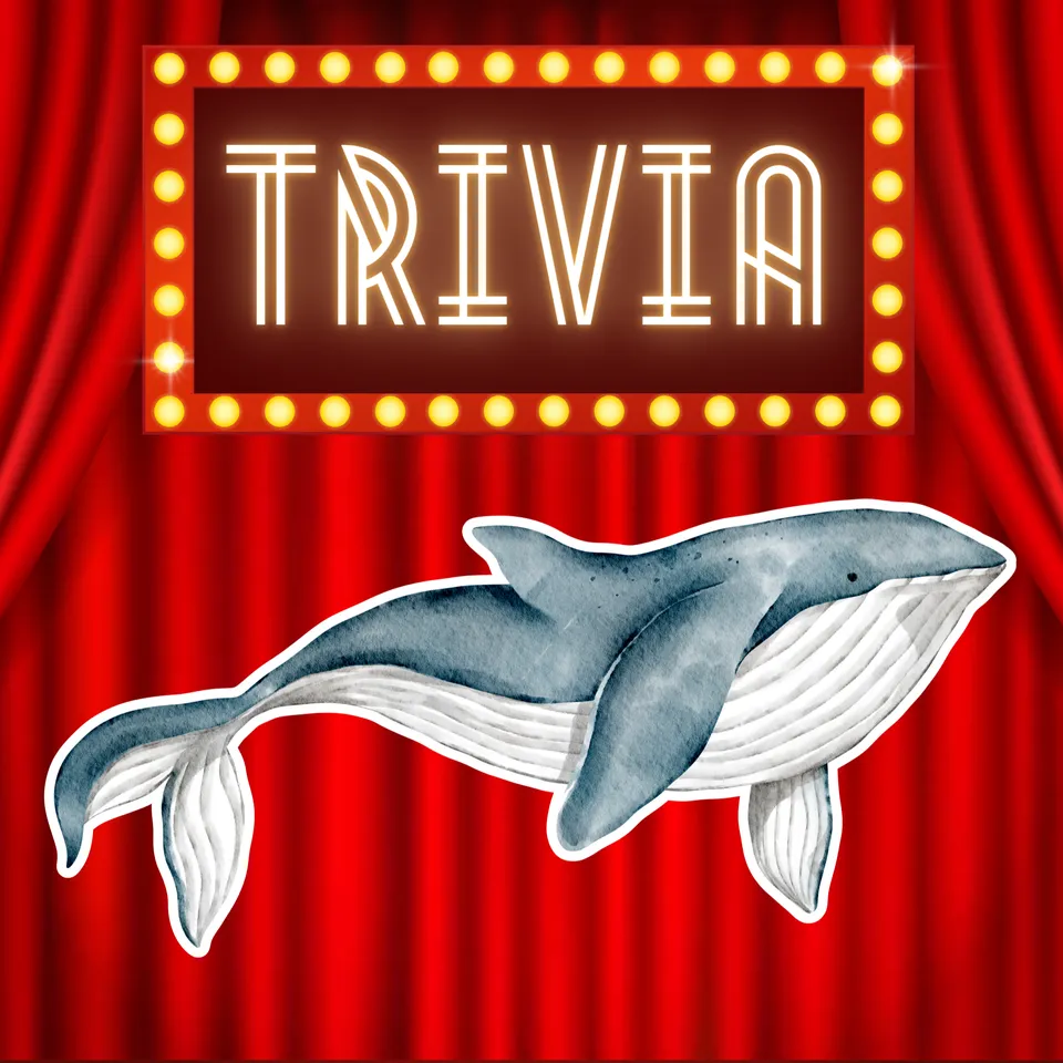 Week 4 Trivia