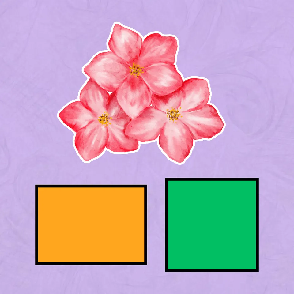 Same Perimeter, Different Area