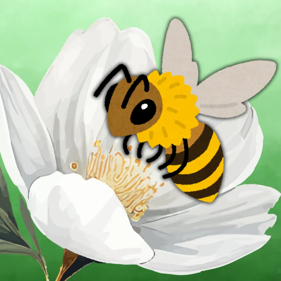 Insect Guessing Game