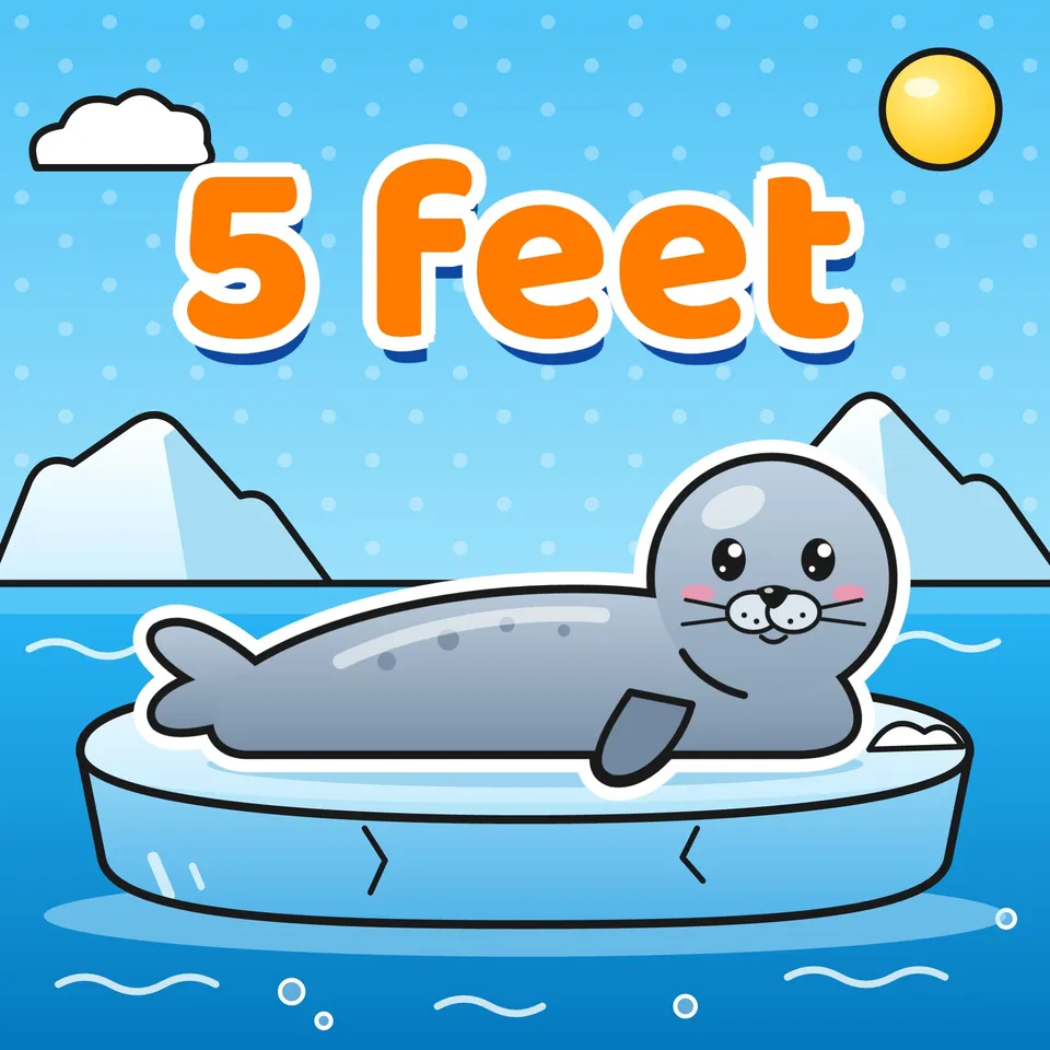 Estimate Feet