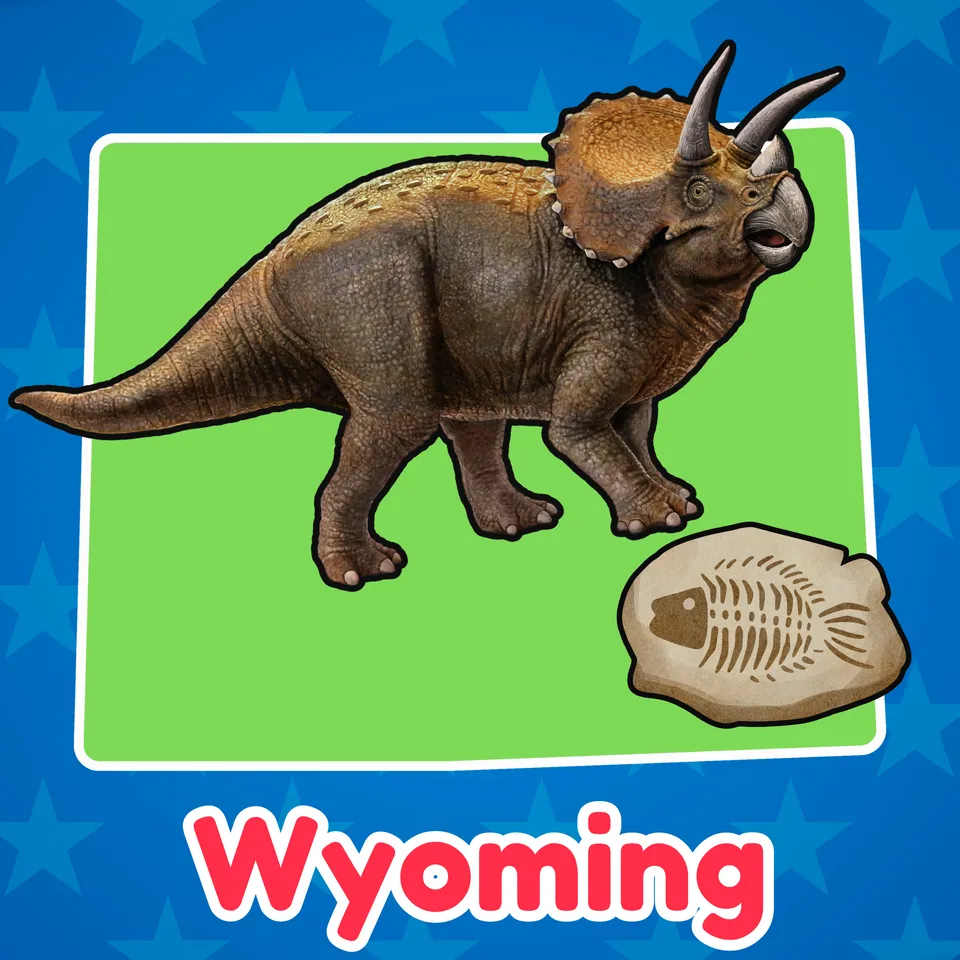 Wyoming